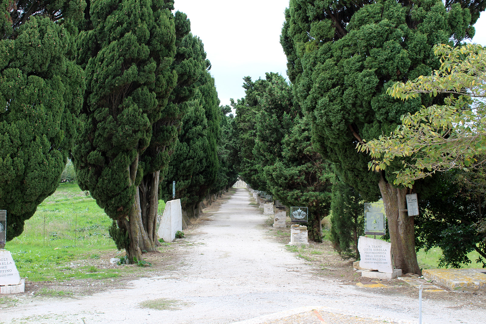 viale delle rimembranze pianto romano